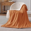 image:imageBedsure GentleSoft Sherpa Fleece Throw Blanket for Couch NonHeated Thick and Warm Throw for Women and Men Soft Fuzzy Plush Blanket for Fall Burnt Orange 50x60 Inches09 Burnt Orange