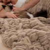 image:imageBedsure Gentlesoft Fluffy Cozy Faux Fur Throw Blanket for Couch Soft Fuzzy Plush Furry Blanket DoubleSided Faux Rabbit Fur Thick Warm Chair Throws Luxury Gifts for Women 50 X 60 Light BrownLight Brown