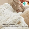image:imageBedsure Gentlesoft Fluffy Cozy Faux Fur Throw Blanket for Couch Soft Fuzzy Plush Furry Blanket DoubleSided Faux Rabbit Fur Thick Warm Chair Throws Luxury Gifts for Women 50 X 60 Light BrownCream