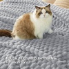 image:imageBedsure Pink Throw Blanket for Couch  350GSM Fluffy Plush Bubble Blanket for Bed Home Room Decor GentleSoft Cute Fleece Soft Cozy Gifts for Women Girls 50x60 Inches05  Light Grey
