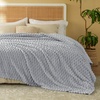 image:imageBedsure Pink Throw Blanket for Couch  350GSM Fluffy Plush Bubble Blanket for Bed Home Room Decor GentleSoft Cute Fleece Soft Cozy Gifts for Women Girls 50x60 Inches05  Light Grey