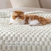 image:imageBedsure Pink Throw Blanket for Couch  350GSM Fluffy Plush Bubble Blanket for Bed Home Room Decor GentleSoft Cute Fleece Soft Cozy Gifts for Women Girls 50x60 Inches04  Off White