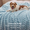 image:imageBedsure Pink Throw Blanket for Couch  350GSM Fluffy Plush Bubble Blanket for Bed Home Room Decor GentleSoft Cute Fleece Soft Cozy Gifts for Women Girls 50x60 Inches06  Light Blue