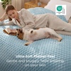 image:imageBedsure Pink Throw Blanket for Couch  350GSM Fluffy Plush Bubble Blanket for Bed Home Room Decor GentleSoft Cute Fleece Soft Cozy Gifts for Women Girls 50x60 Inches06  Light Blue