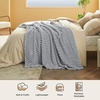 image:imageBedsure Pink Throw Blanket for Couch  350GSM Fluffy Plush Bubble Blanket for Bed Home Room Decor GentleSoft Cute Fleece Soft Cozy Gifts for Women Girls 50x60 Inches05  Light Grey