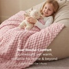 image:imageBedsure Pink Throw Blanket for Couch  350GSM Fluffy Plush Bubble Blanket for Bed Home Room Decor GentleSoft Cute Fleece Soft Cozy Gifts for Women Girls 50x60 Inches01  Pink