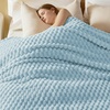 image:imageBedsure Pink Throw Blanket for Couch  350GSM Fluffy Plush Bubble Blanket for Bed Home Room Decor GentleSoft Cute Fleece Soft Cozy Gifts for Women Girls 50x60 Inches06  Light Blue