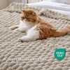 image:imageBedsure Pink Throw Blanket for Couch  350GSM Fluffy Plush Bubble Blanket for Bed Home Room Decor GentleSoft Cute Fleece Soft Cozy Gifts for Women Girls 50x60 Inches03  Beige