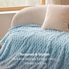 image:imageBedsure Pink Throw Blanket for Couch  350GSM Fluffy Plush Bubble Blanket for Bed Home Room Decor GentleSoft Cute Fleece Soft Cozy Gifts for Women Girls 50x60 Inches06  Light Blue