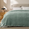 image:imageBedsure Pink Throw Blanket for Couch  350GSM Fluffy Plush Bubble Blanket for Bed Home Room Decor GentleSoft Cute Fleece Soft Cozy Gifts for Women Girls 50x60 Inches02  Sage Green