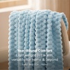 image:imageBedsure Pink Throw Blanket for Couch  350GSM Fluffy Plush Bubble Blanket for Bed Home Room Decor GentleSoft Cute Fleece Soft Cozy Gifts for Women Girls 50x60 Inches06  Light Blue
