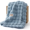 image:imageBedsure 3D Fleece Bubble Blanket for Couch  GentleSoft Green Spring Throw Blanket for Sofa Bed Home Decor  Luxury Soft Cozy Gifts for Women Lightweight All Seasons Sage Green506003 Celestial Blue
