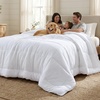 image:imageBedsure Comforters Twin XL Size Duvet Insert Quilted Down Alternative Comforter Ultra Soft Lightweight Comforter Blanket for Bed with 8 Tabs Machine Washable 68 x 92 in Light GreyGreyWhite