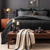 image:imageBedsure Comforters Twin XL Size Duvet Insert Quilted Down Alternative Comforter Ultra Soft Lightweight Comforter Blanket for Bed with 8 Tabs Machine Washable 68 x 92 in Light GreyGreyBlackGrey