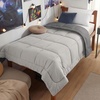 image:imageBedsure Comforters Twin XL Size Duvet Insert Quilted Down Alternative Comforter Ultra Soft Lightweight Comforter Blanket for Bed with 8 Tabs Machine Washable 68 x 92 in Light GreyGreyLight GreyGrey