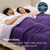 image:imageBedsure Comforters Twin XL Size Duvet Insert Quilted Down Alternative Comforter Ultra Soft Lightweight Comforter Blanket for Bed with 8 Tabs Machine Washable 68 x 92 in Light GreyGreyPurplePale Purple