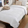 image:imageBedsure Comforters Twin XL Size Duvet Insert Quilted Down Alternative Comforter Ultra Soft Lightweight Comforter Blanket for Bed with 8 Tabs Machine Washable 68 x 92 in Light GreyGreyWhite