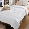 image:imageBedsure Comforters Twin XL Size Duvet Insert Quilted Down Alternative Comforter Ultra Soft Lightweight Comforter Blanket for Bed with 8 Tabs Machine Washable 68 x 92 in Light GreyGreyWhite