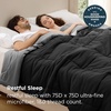 image:imageBedsure Comforters Twin XL Size Duvet Insert Quilted Down Alternative Comforter Ultra Soft Lightweight Comforter Blanket for Bed with 8 Tabs Machine Washable 68 x 92 in Light GreyGreyBlackGrey