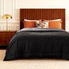 image:imageBedsure Comforters Twin XL Size Duvet Insert Quilted Down Alternative Comforter Ultra Soft Lightweight Comforter Blanket for Bed with 8 Tabs Machine Washable 68 x 92 in Light GreyGreyBlackGrey