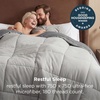image:imageBedsure Comforters Twin XL Size Duvet Insert Quilted Down Alternative Comforter Ultra Soft Lightweight Comforter Blanket for Bed with 8 Tabs Machine Washable 68 x 92 in Light GreyGreyLight GreyGrey