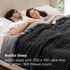 image:imageBedsure Comforters Twin XL Size Duvet Insert Quilted Down Alternative Comforter Ultra Soft Lightweight Comforter Blanket for Bed with 8 Tabs Machine Washable 68 x 92 in Light GreyGreyBlackGrey
