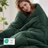 image:imageBedsure Twin XL Comforter  Twin XL Duvet Insert for All Season UltraSoft Quilted Down Alternative Comforter Blanket for Bed with 4 Tabs Machine Washabl Beige 68x92 inOlive Green