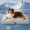 image:imageBedsure XL Dog Bed for Crate Pet Bed with Washable Cover 41x27 Inch Grey  Orthopedic Egg Crate Foam Flat Rectangle Sherpa Mat NonSlip Bottom Comfy Removable Cover For Extra Large Pets  65 lbsCooling Grey
