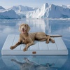 image:imageBedsure XL Dog Bed for Crate Pet Bed with Washable Cover 41x27 Inch Grey  Orthopedic Egg Crate Foam Flat Rectangle Sherpa Mat NonSlip Bottom Comfy Removable Cover For Extra Large Pets  65 lbsCooling Blue