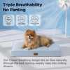 image:imageBedsure XL Dog Bed for Crate Pet Bed with Washable Cover 41x27 Inch Grey  Orthopedic Egg Crate Foam Flat Rectangle Sherpa Mat NonSlip Bottom Comfy Removable Cover For Extra Large Pets  65 lbsCooling Blue