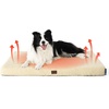 image:imageBedsure XL Dog Bed for Crate Pet Bed with Washable Cover 41x27 Inch Grey  Orthopedic Egg Crate Foam Flat Rectangle Sherpa Mat NonSlip Bottom Comfy Removable Cover For Extra Large Pets  65 lbsAshen CreamSelf Warming Version