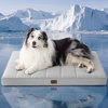 image:imageBedsure XL Dog Bed for Crate Pet Bed with Washable Cover 41x27 Inch Grey  Orthopedic Egg Crate Foam Flat Rectangle Sherpa Mat NonSlip Bottom Comfy Removable Cover For Extra Large Pets  65 lbsCooling Grey