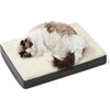 image:imageBedsure XL Dog Bed for Crate Pet Bed with Washable Cover 41x27 Inch Grey  Orthopedic Egg Crate Foam Flat Rectangle Sherpa Mat NonSlip Bottom Comfy Removable Cover For Extra Large Pets  65 lbsGrey