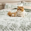 image:imageBedsure Comforter Set Queen Size  Cute Floral Bedding Comforter Set 3 Pieces 1 Soft Reversible Desert Sage Sketch Flowers Comforter and 2 Pillow ShamsBotanical Print