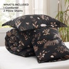 image:imageBedsure Comforter Set Queen Size  Cute Floral Bedding Comforter Set 3 Pieces 1 Soft Reversible Desert Sage Sketch Flowers Comforter and 2 Pillow ShamsTree