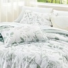 image:imageBedsure Comforter Set Queen Size  Cute Floral Bedding Comforter Set 3 Pieces 1 Soft Reversible Desert Sage Sketch Flowers Comforter and 2 Pillow ShamsLeaf