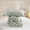 image:imageBedsure Comforter Set Queen Size  Cute Floral Bedding Comforter Set 3 Pieces 1 Soft Reversible Desert Sage Sketch Flowers Comforter and 2 Pillow ShamsBotanical Print