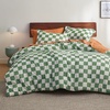image:imageBedsure Comforter Set Queen Size  Cute Floral Bedding Comforter Set 3 Pieces 1 Soft Reversible Desert Sage Sketch Flowers Comforter and 2 Pillow ShamsCheckered
