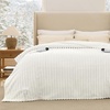 image:imageBedsure Electric Blanket King Size  Thick Striped Flannel Electric Blanket with Dual Control Heating with 6 Heat Settings amp 6 Time Settings 8 hrs Timer Auto Shut Off 90x100 White01  White