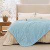 image:imageBedsure Electric Blanket King Size  Thick Striped Flannel Electric Blanket with Dual Control Heating with 6 Heat Settings amp 6 Time Settings 8 hrs Timer Auto Shut Off 90x100 White05  Light Blue