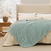image:imageBedsure Electric Blanket King Size  Thick Striped Flannel Electric Blanket with Dual Control Heating with 6 Heat Settings amp 6 Time Settings 8 hrs Timer Auto Shut Off 90x100 White04  Emerald Green
