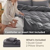 image:imageBedsure Gingham Ruffle Duvet Cover Set Queen Vintage Farmhouse Bed Pink  Plaid Ruffle Edges Soft Lightweight Hidden Zipper Inner Ties 90x90 Comforter Cover 2 Pillow Shams Machine Washable04  Dark Grey No Comforter
