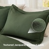 image:imageBedsure Gingham Ruffle Duvet Cover Set Queen Vintage Farmhouse Bed Pink  Plaid Ruffle Edges Soft Lightweight Hidden Zipper Inner Ties 90x90 Comforter Cover 2 Pillow Shams Machine Washable21  Olive Green No Comforter