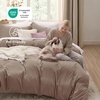 image:imageBedsure Tan Gingham Ruffle Duvet Cover SetVintage Farmhouse Bedding Queen  Cottagecore Aesthetic Ruffle Edges Soft Lightweight Hidden Zipper Inner Ties 90x90 Comforter Cover 2 Pillow Shams02  Khaki No Comforter