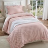 27 - Pink Gingham