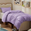 05 - Light Purple